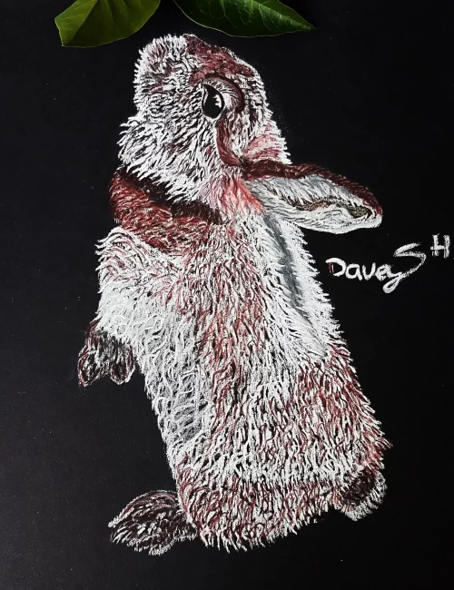 Konijn kunstwerk schilderij op aanvraag